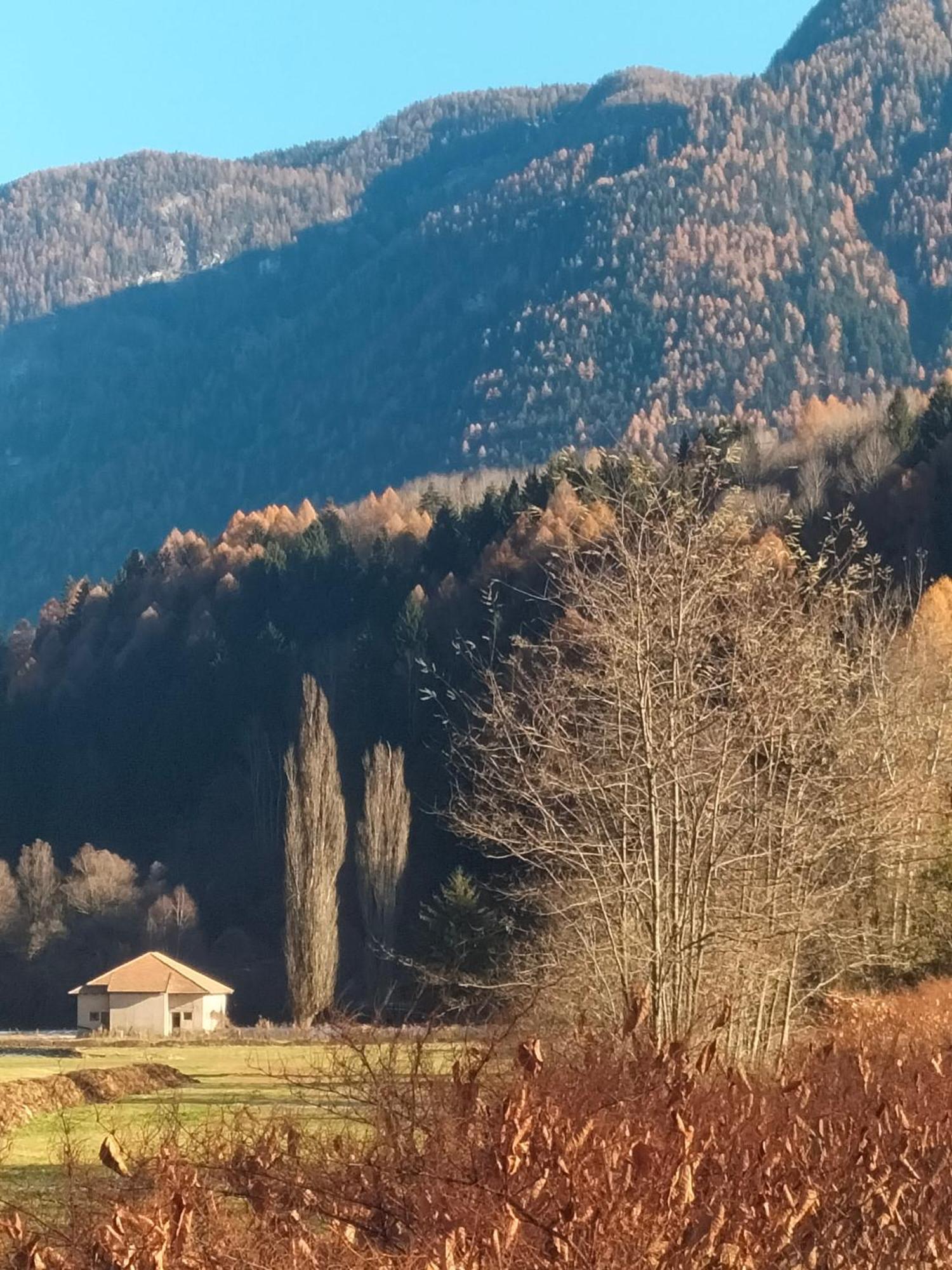 A 2 Passi Dagli Impianti Apartment Mezzana (Trentino Alto Adige)